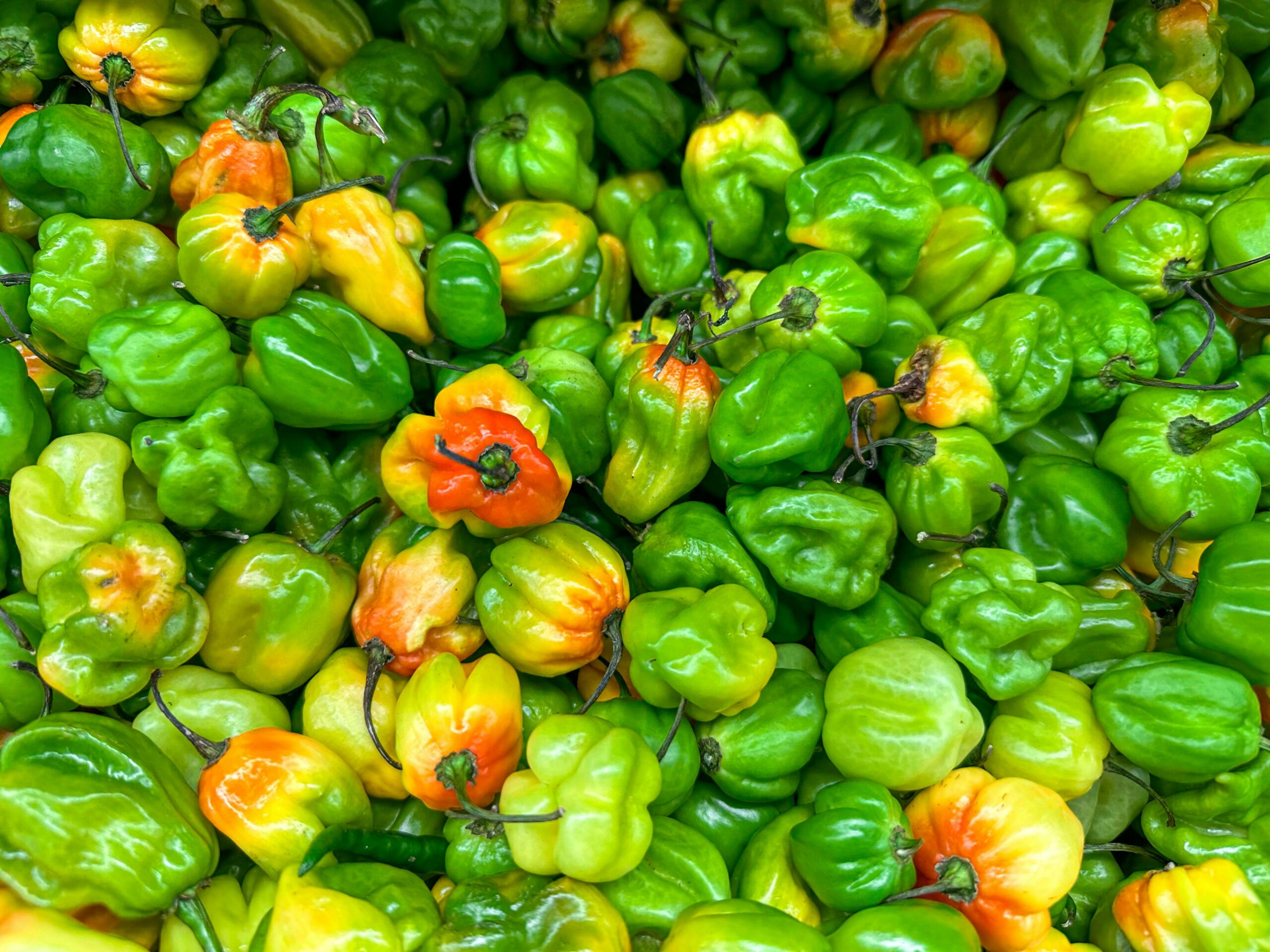 green habanero