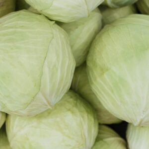 cabbage
