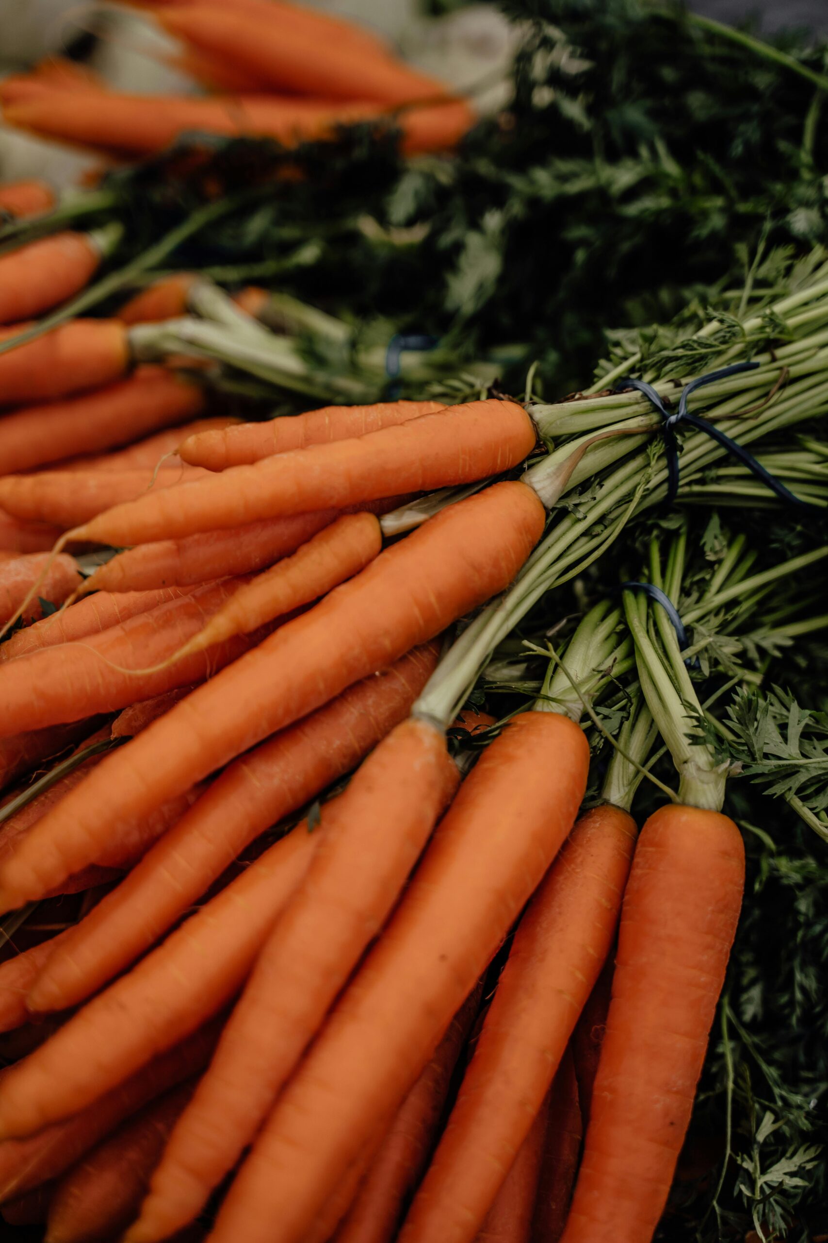 carrot