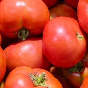 tomatoes